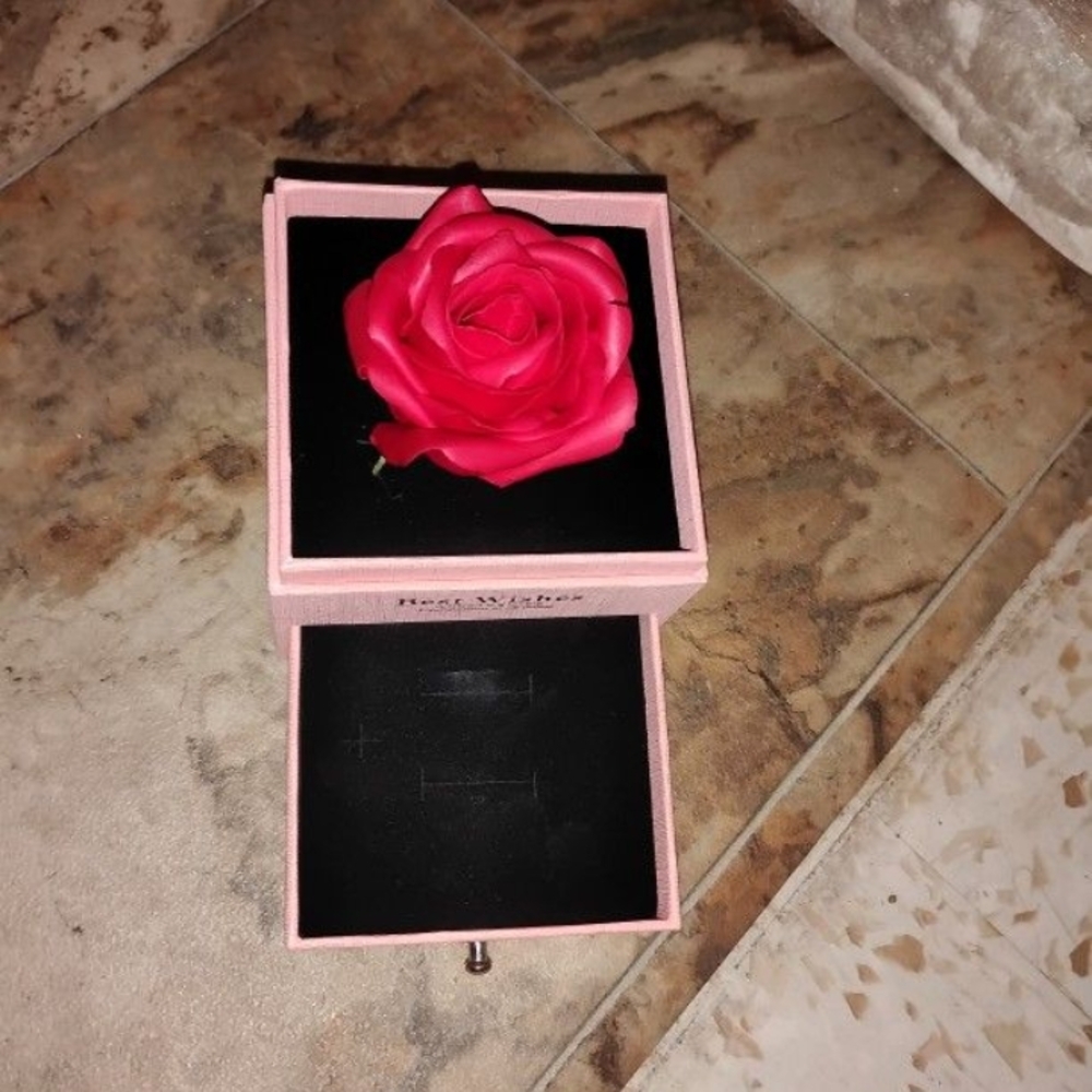 Red Rose in Display Box - Picture 3 of 3